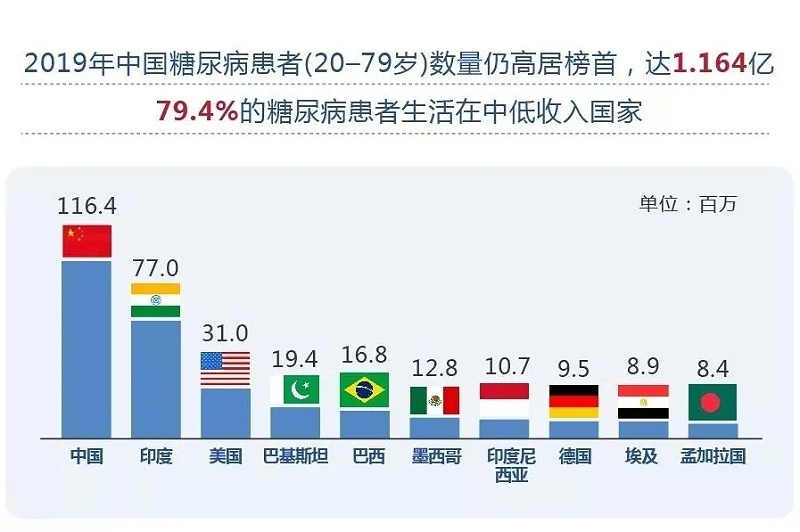 水蛭素、血糖、糖尿病