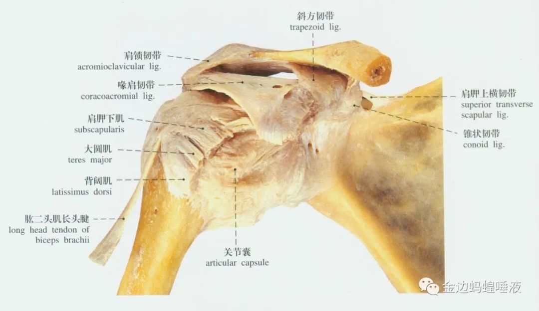 真實(shí)案例 | 腕關(guān)節(jié)囊積液，發(fā)炎腫脹，疼痛難忍，真就對(duì)它沒(méi)辦法嗎？